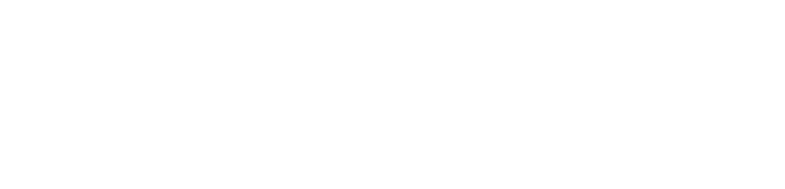 Stein Bros
